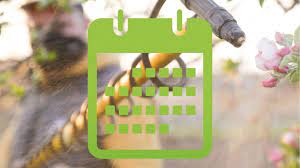 Kalendarz opryskiwania drzew owocowych | Ochrona sadu przez cały sezon