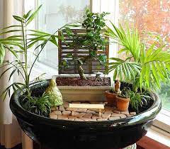 Living Plants For Miniature Gardens