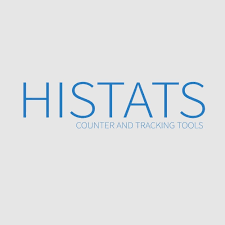 Image result for what is Histats
