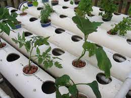 Start a hydroponic garden that uses the vertical space. How To Assemble A Homemade Hydroponic System How Tos Diy