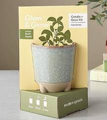 Glow And Grow Herb Garden Fedex