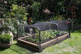 Ongedierte Raised Beds In The Garden