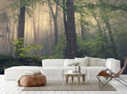 Misty Forest Wallpaper Photo Wall Mural