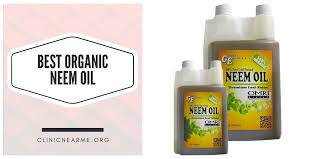 neem oil in canada 4 best neem oil to