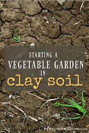 Vegetable Garden In Clay Soil