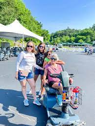 ing a wheelchair for your dollywood