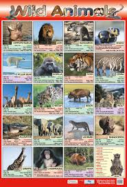 Wild Animals Poster By Chart Media Chart Media