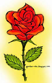 Mewarnai gambar bunga mawar jumat. Bunga Mawar Contoh Gambar Mewarnai