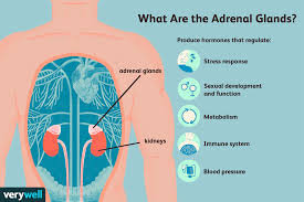 lung cancer spread to the adrenal glands