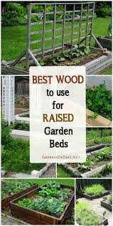 Raised Garden Vegetable Garden Raised Beds