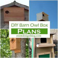 15 Free Diy Barn Owl Box Plans For Your