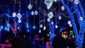 Moody Gardens Presents Festival Of Lights Event