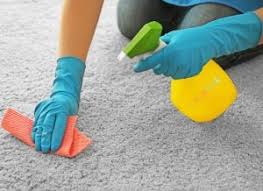 carpet upholstery cleaning services