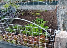 Vegetable Garden Galvanized Fencing