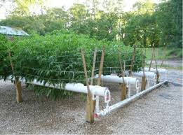 Hydroponics Worldwide An Excellent