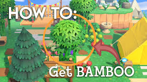 how to get bamboo crossing