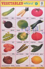 Vegetables Chart Part 1 Chart Number 96 Minikids In