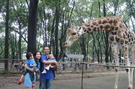 Check spelling or type a new query. Taman Margasatwa Ragunan Jakarta Indonesia Sirb Travel Tours