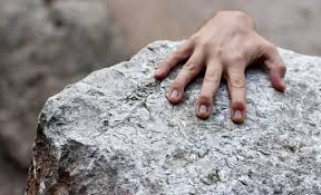 Image result for resilience