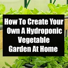 hydroponic vegetable garden