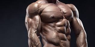 7 bodybuilding tips to sd up your