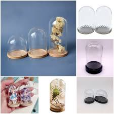 Miniature Glass Dome Display Bell Jar