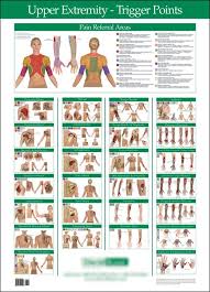 Functional Range Of Motion Chart Upper Extremity Chart
