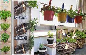 Making You Own Herb Garden Ideas My
