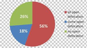 Pie Chart Statistics Graph Of A Function Circle Others Png