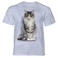 This natural breed is adapted to a very cold climate. The Mountain Kinder T Shirt Norwegian Forest Cat