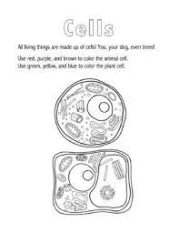 We did not find results for: Plant And Animal Cells Coloring Sheet By Kylie Mathis Tpt