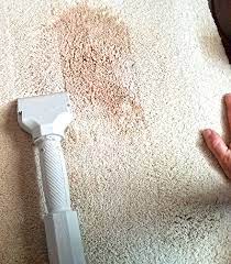 carpet cleaning all american carpet