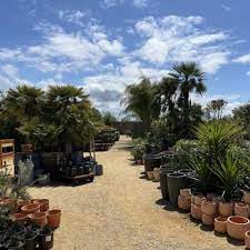 Marina Del Rey Garden Center Closed