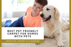 best pet friendly carpet for homes with