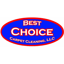 dry cleaners rugs in fayetteville nc