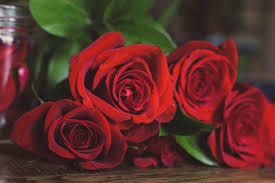 meaning behind the number of roses