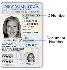 new york license state issued id