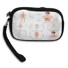 Amazon Com Human Anatomy Wallet Complete Chart Of Different