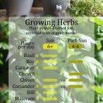 Best Home And Garden Tips Herbs Home Garden Garden