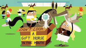 english idiom don t look a gift horse