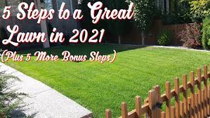 Often, the grass might be struggling because it's not getting enough water or not getting water at the right time. 5 Steps To A Great Lawn In 2021 Ft Property Services Inc