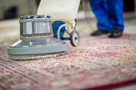 carpet cleaning south hills area pa