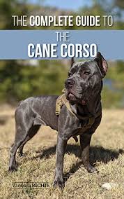 These fearless and vigilant coat and colors: The Complete Guide To The Cane Corso Selecting Raising Training Socializing Living With And Loving Your New Cane Corso Dog English Edition Ebook Richie Vanessa Amazon De Kindle Shop