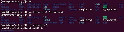 and rename a directory in linux