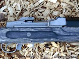 ruger s new mini 14 target