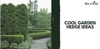 Cool Garden Hedge Ideas And Tips