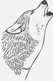 Lukisan hitam putih kepala burung : Serigala Abu Abu Seni Visual Gambar Hitam Putih Wolf Putih Binatang Menyusui Pensil Png Pngwing