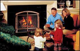 fireplaces gas and wood burning stoves