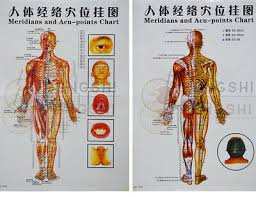 Chinese Medicine Body Acupuncture Points Meridians And Acupoints Chart Ebay