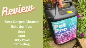 tested deep clean solution for carpets